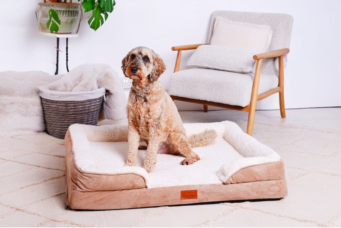 The Belgravia Orthopaedic Dog Sofa™ - Large